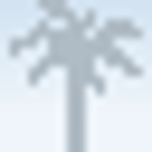 Country Village Apartments - Logo