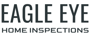 Eagle Eye Home Inspection Services - Logo