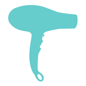Primp and Blow Evans - Logo