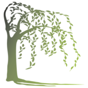 MK WILLOW CO SALON - Logo