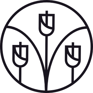 MAE Studio
