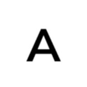 Asset Realty Elite LLC - Logo
