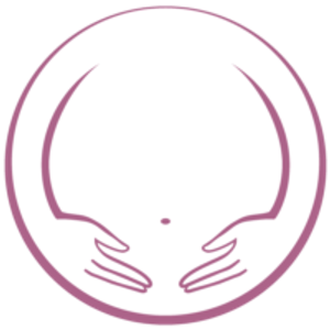 Little Bellies Ultrasound & Pregnancy Spa - Logo