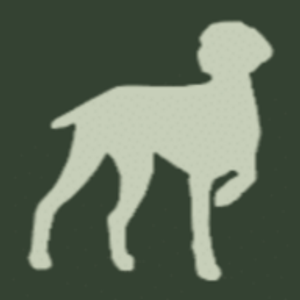 Coastal Creek Animal Hospital - Logo