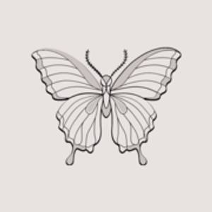 Windsor Lasherie - Logo