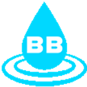 Twisted B Septic Services