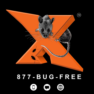 Expel Exterminating Experts