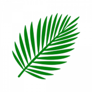 LOCAL Palm Beach Realty Inc | Real Estate Office - Logo