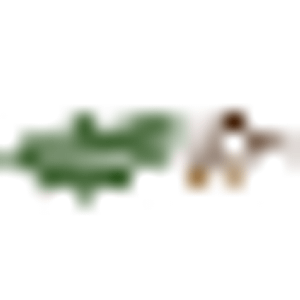 Pere Marquette Oaks RV Park
