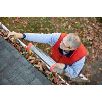 Clean Pro Gutters - Logo