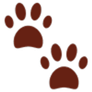 Little Paws Pet Resort - Logo
