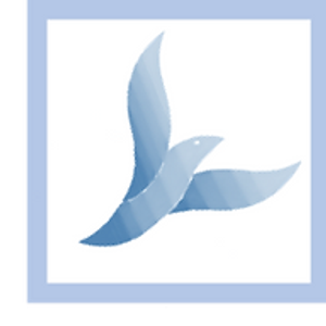 Rising Above Divorce - Logo