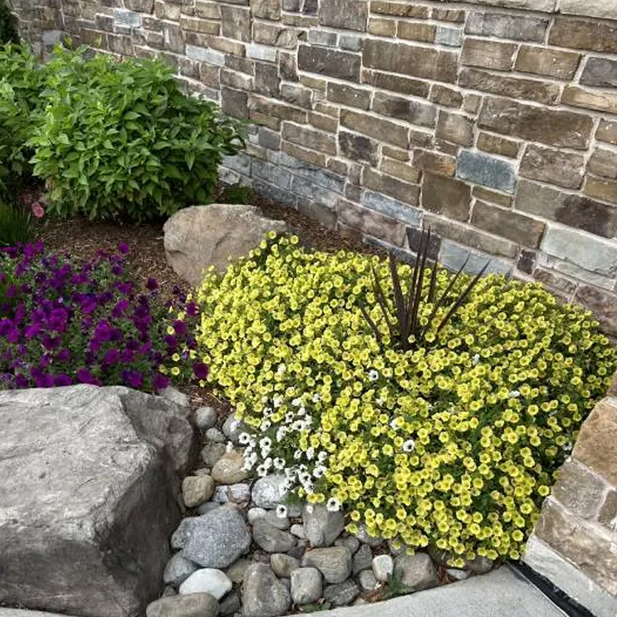 P and P Landscaping Services - Business Photo