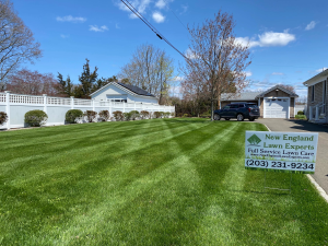 New England Lawn Experts LLC - Logo