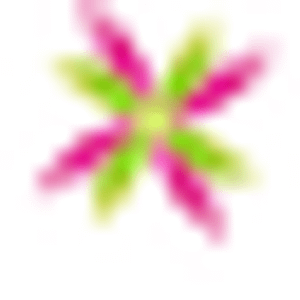 Azalea Landscape LLC