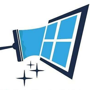Pro Window Cleaning, Powerwashing, Gutter Cleaning and More! - Logo
