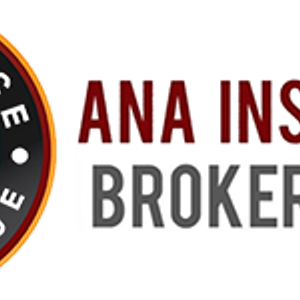 ANA Insurance Brokerage, Inc. - Logo
