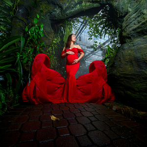 Ambreia Artistry Photography - Logo