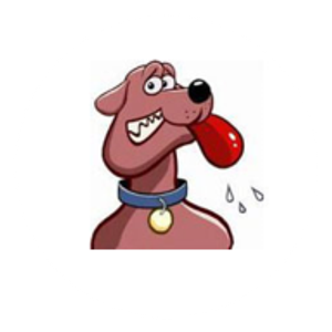 Sam Miller's Carpet Care - Logo