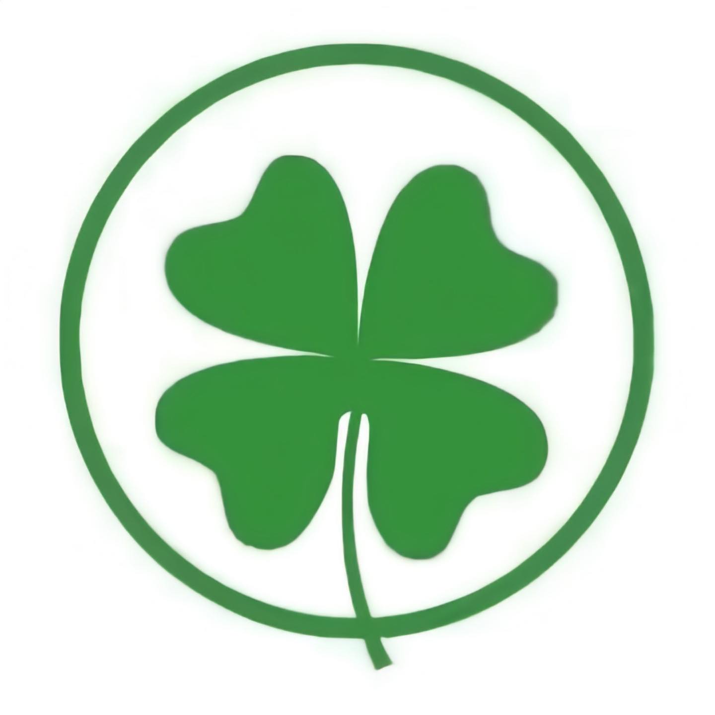 Shamrock Detailing - Logo