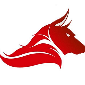 Colorado Wolf Towing, Aurora Co. - Logo