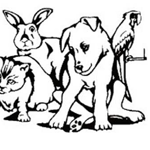 Fur & Feathers Pet Grooming