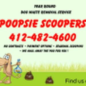 Poopsie Scoopers