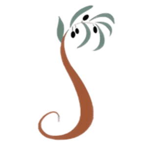 Salina Family Chiropractic - Logo