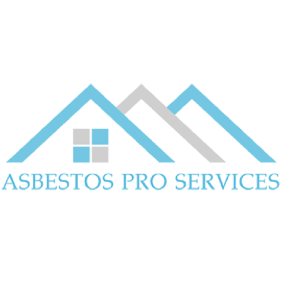Asbestos Pro Services - Logo