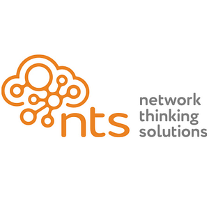 Network Thinking Solutions, Inc - Logo