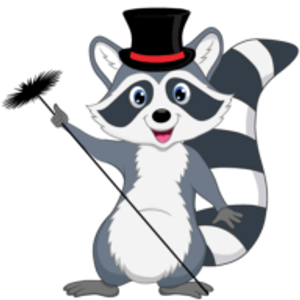 Advance Chimney Sweeps Inc