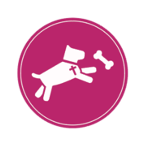 Better Together Dog Training