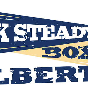 Rock Steady Boxing Gilbert