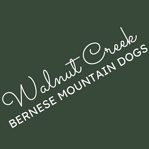 Walnut Creek Bernese - Logo