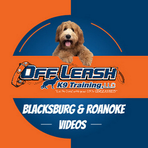Off Leash K9 Training of Christiansburg - Logo