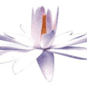 Advanced Massage Works - Mount Dora - Logo