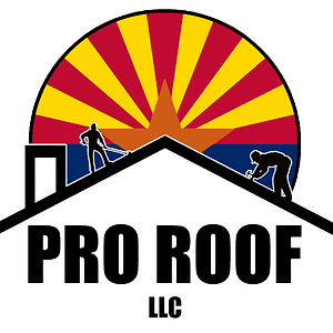 PRO ROOF LLC