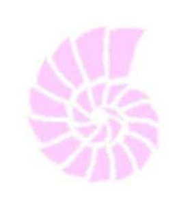 Maggie Shannon Residential Design & Consulting - Logo