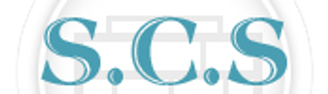 Superior Chimney Service - Logo