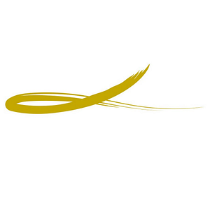 The Lucas Center Cosmetic & Plastic Surgery - Logo