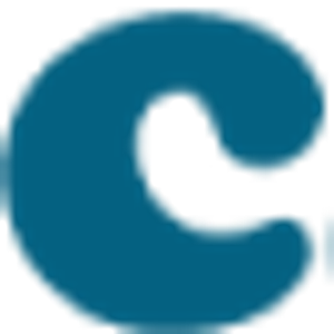 The Carpet Store - Logo