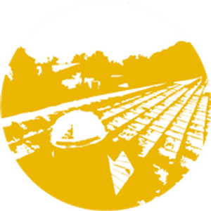 Dynasty Roofing Inc - Logo