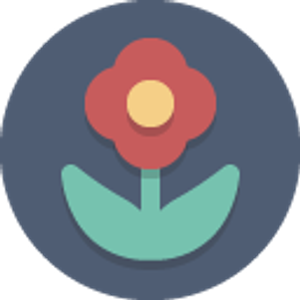 Austin Flower Delivery - Logo