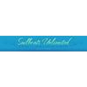 Sailboats Unlimited - Logo