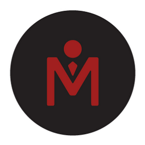 The Match Artist - Logo