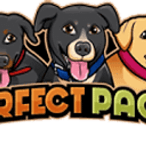 Perfect Pack Dog Training