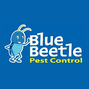 Blue Beetle Pest Control - Pest control service in Kansas City