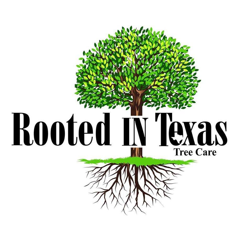 Rooted In Texas Tree Care - Tree service in Cedar Park