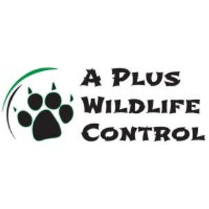 A Plus Wildlife Control - Logo