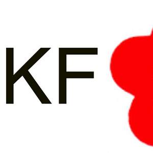 Virginia Beach Kung Fu - Logo